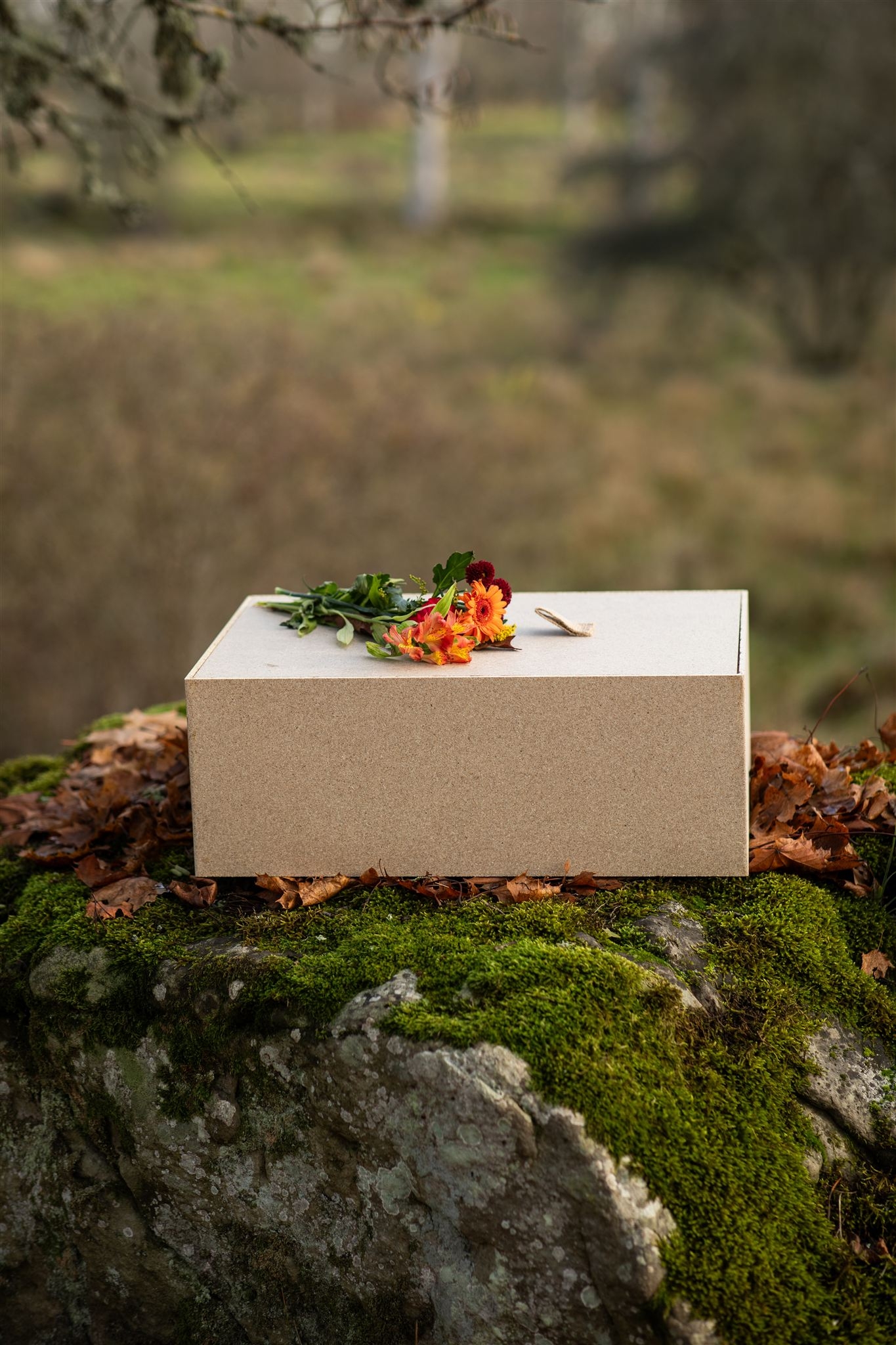 Minventa – kista för djur på mossig sten med blommor