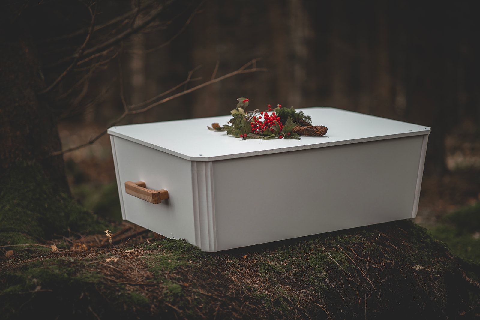 Minventa – produktfoto av kista/urna för djur,