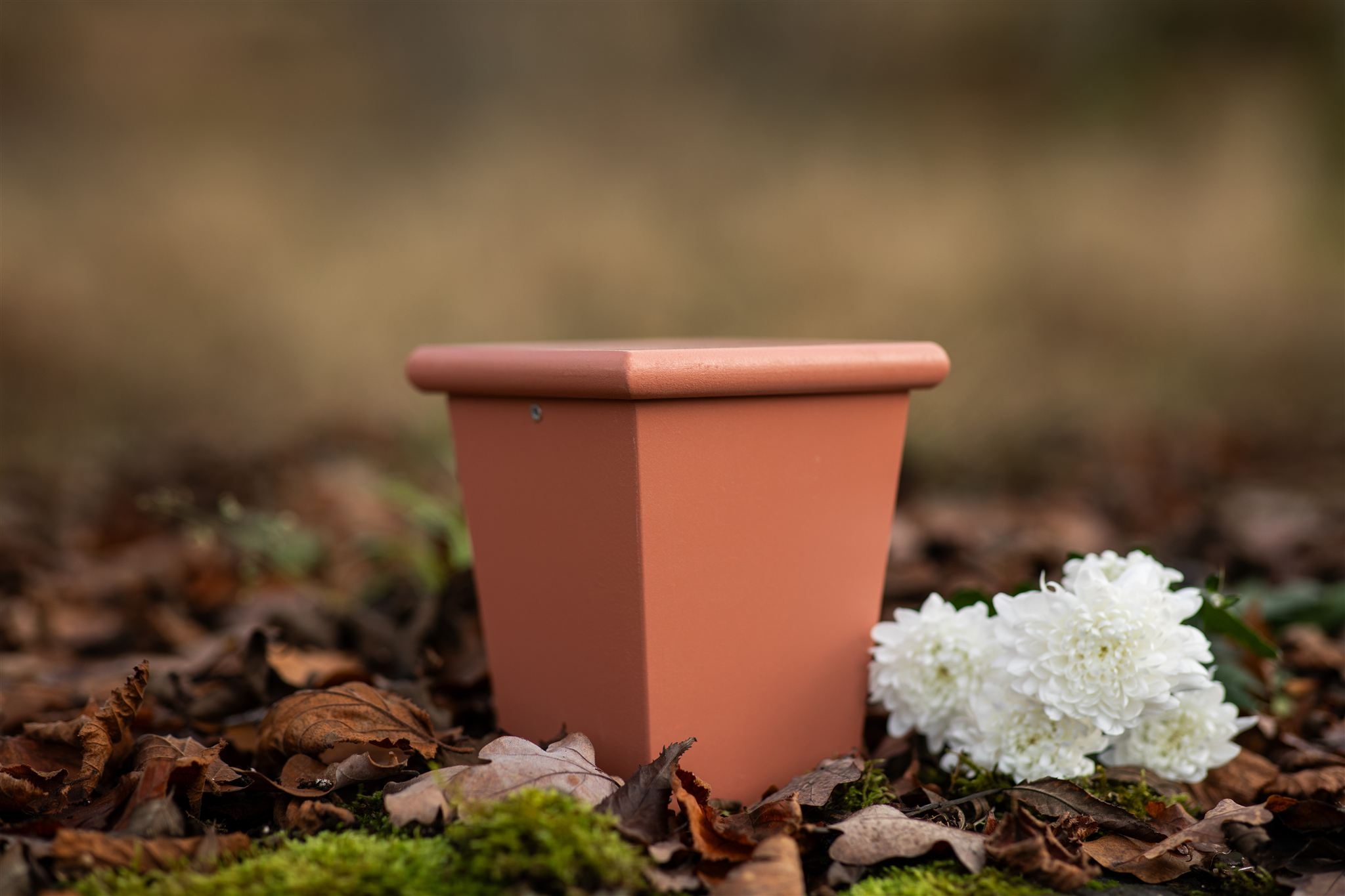 Minventa – terrakottafärgad urna för djur med vita blommor