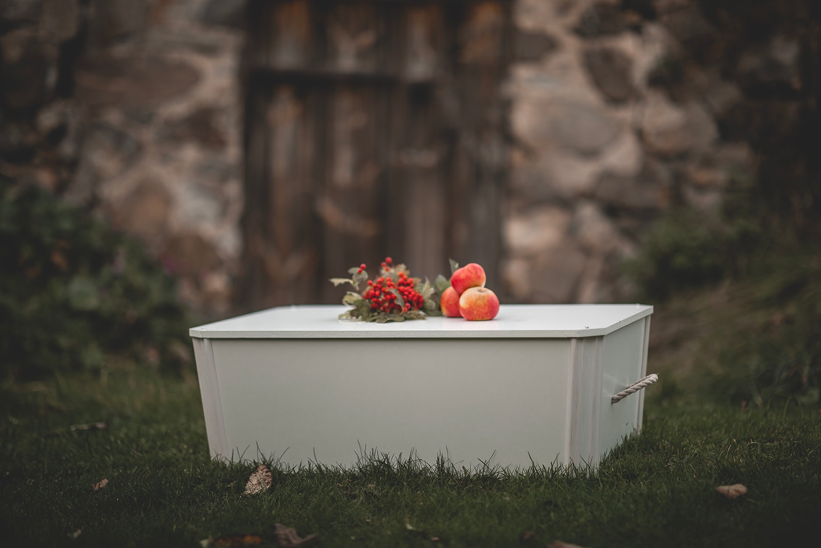 Minventa – produktfoto av kista/urna för djur,